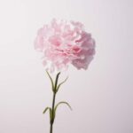 Real Touch Moisture Artificial carnation