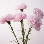 Real Touch Moisture Artificial carnation